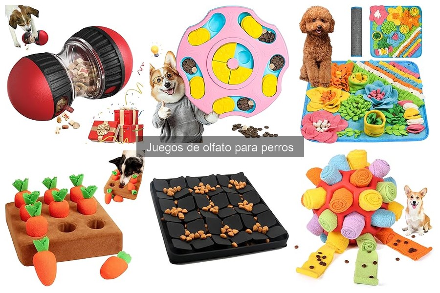 Crea juegos de olfato DIY para tu perro fácilmente