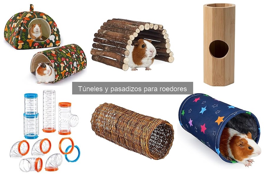 Crea Túneles y Pasadizos DIY para Roedores Fáciles