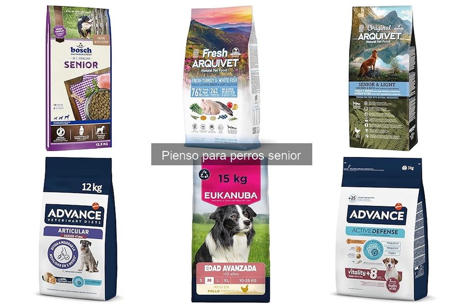 ¿Cuándo cambiar a pienso senior para perros? Descúbrelo