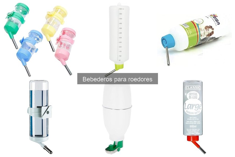 Cuándo Cambiar el Bebedero de Tu Roedor: Señales Clave