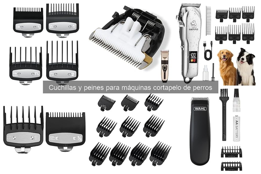 ¿Cuándo cambiar las cuchillas de tu máquina cortapelo?