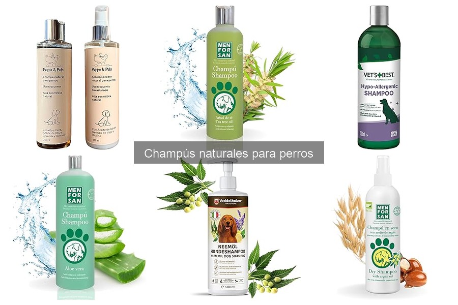 Cuándo no usar champús naturales para perros: Guía esencial