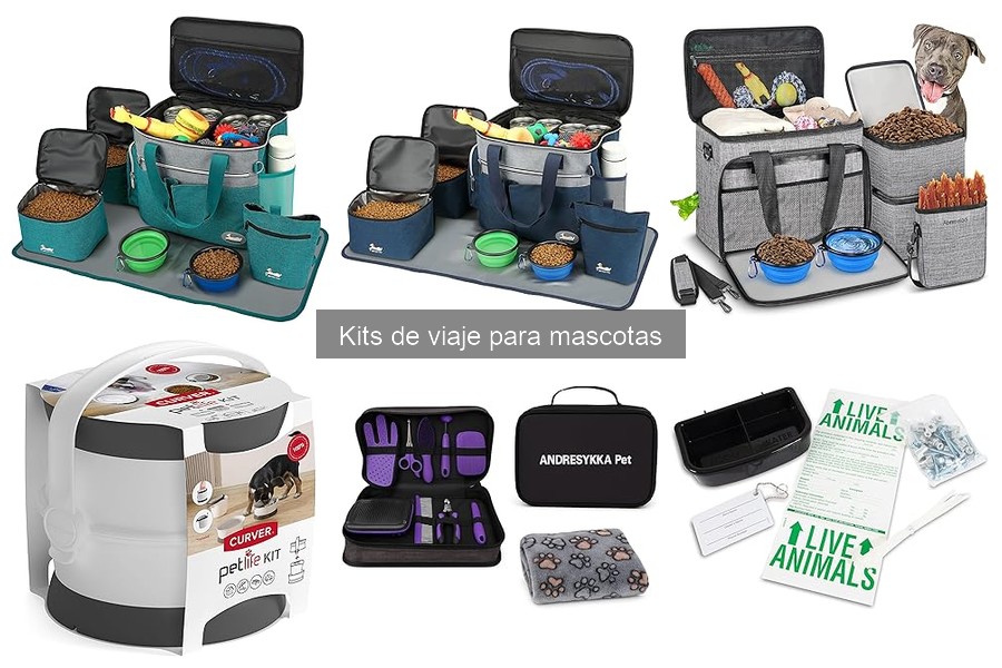 ¿Cuándo usar un kit de viaje para mascotas? Guía esencial