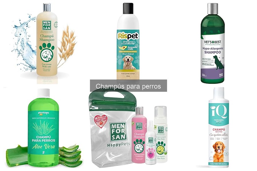 ¿Cuándo y cómo cambiar el champú de tu perro?