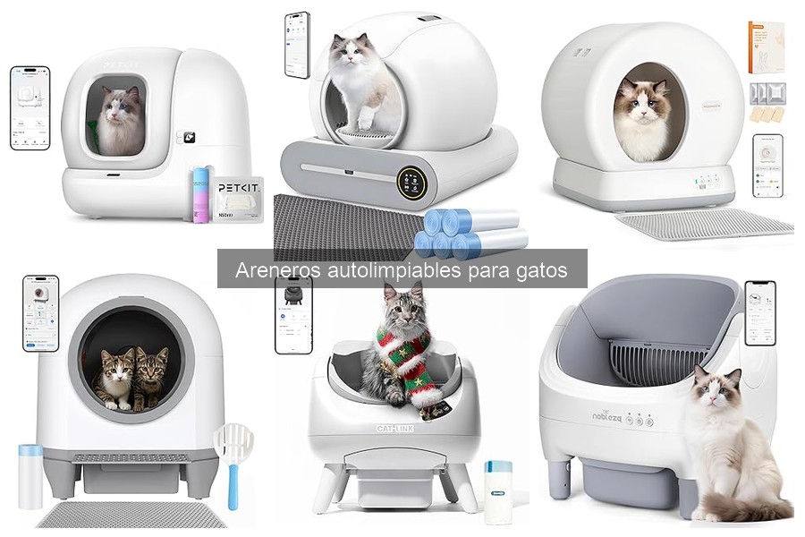 ¿Cuánto cuesta un arenero autolimpante para gatos?