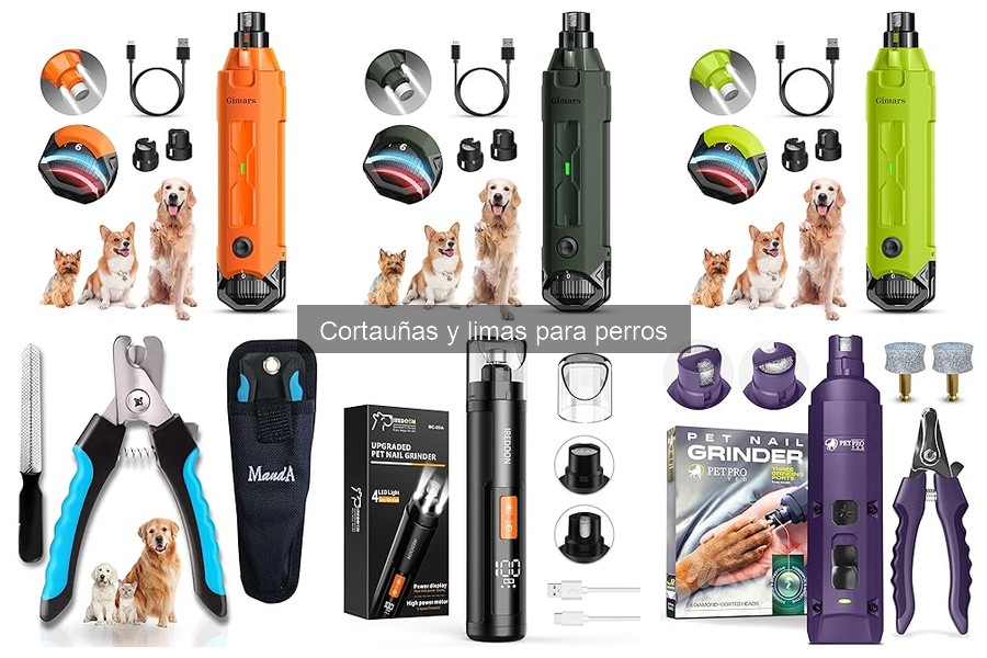 ¿Cuánto cuesta un buen cortauñas para perros? Precios y recomendaciones