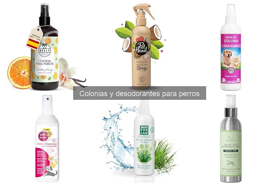 ¿Cuánto cuesta una colonia para perros? Precios y recomendaciones