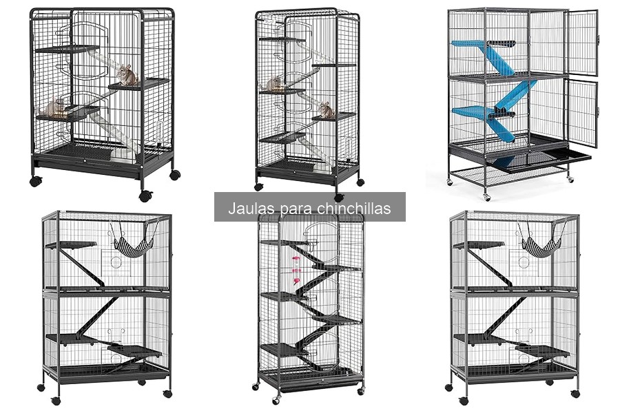 ¿Cuánto cuesta una jaula para chinchillas? Mejores opciones aquí
