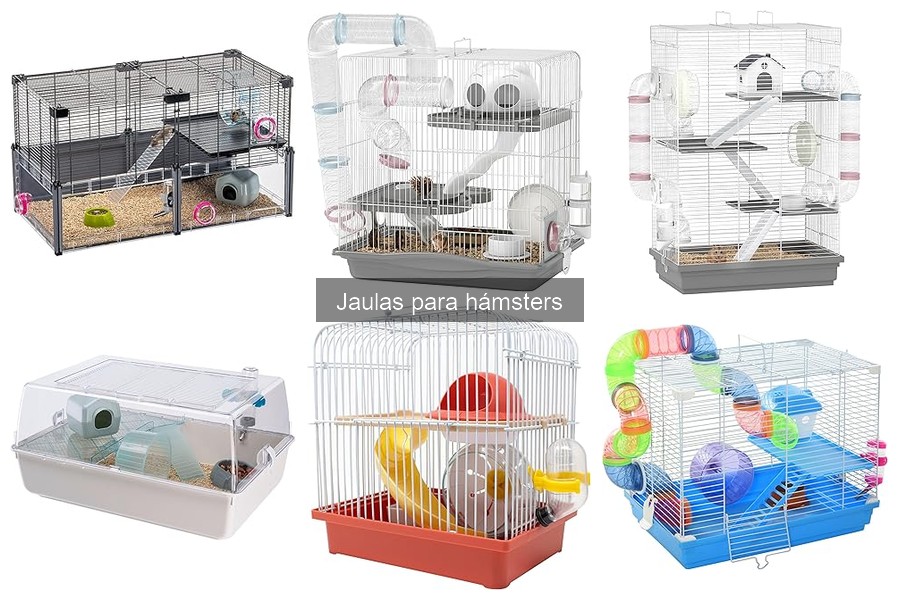 ¿Cuánto cuesta una jaula para hámster? Precios y opciones