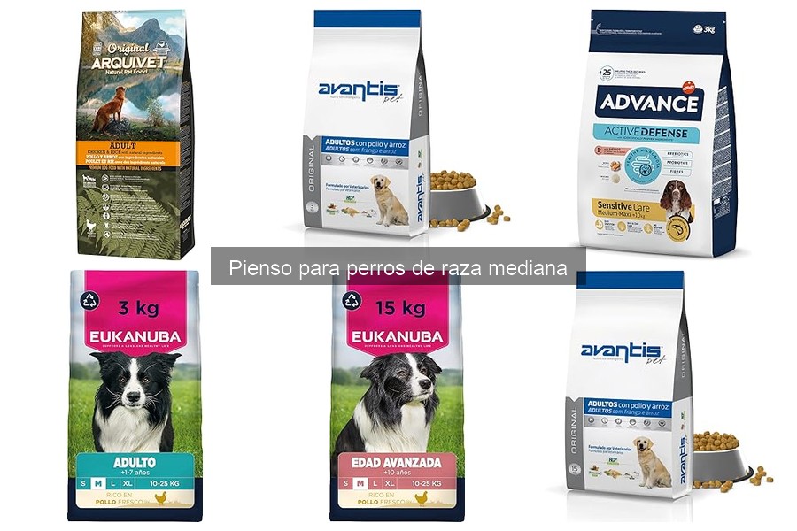 ¿Cuánto debo alimentar a mi perro de raza mediana?