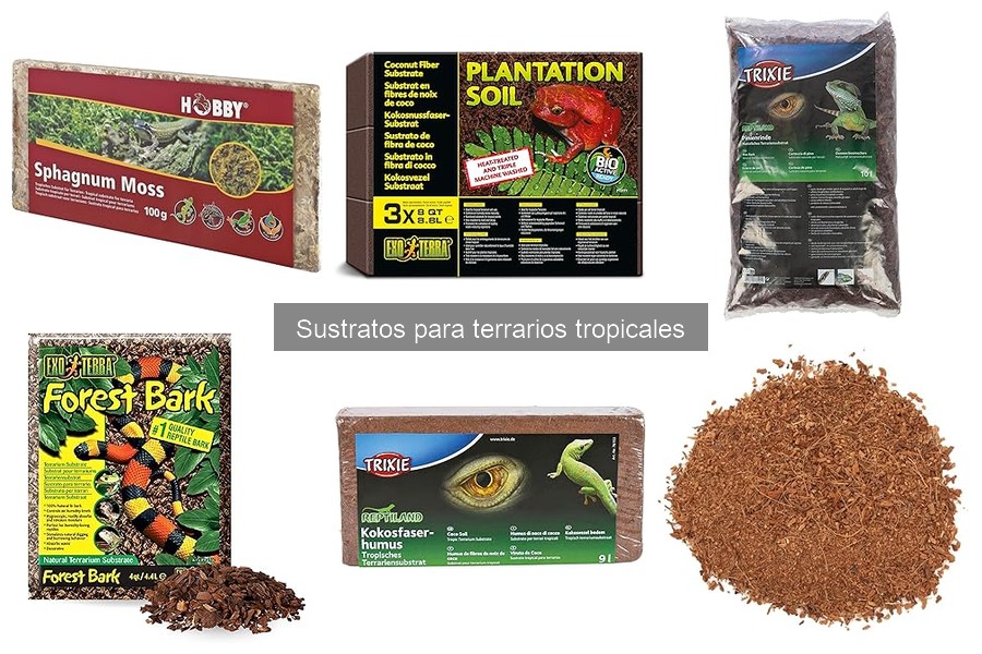 Cuánto dura un sustrato en terrarios tropicales