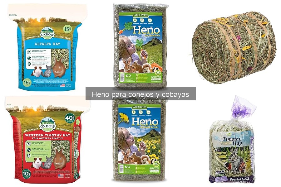 ¿Cuánto heno necesita un conejo o cobaya? Cantidades recomendadas