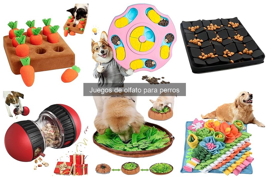 ¿Cuánto tiempo deben jugar los perros con juegos de olfato?