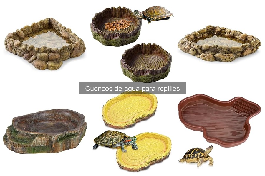 Cuencos de Agua Automáticos para Reptiles: ¿Son Convenientes?
