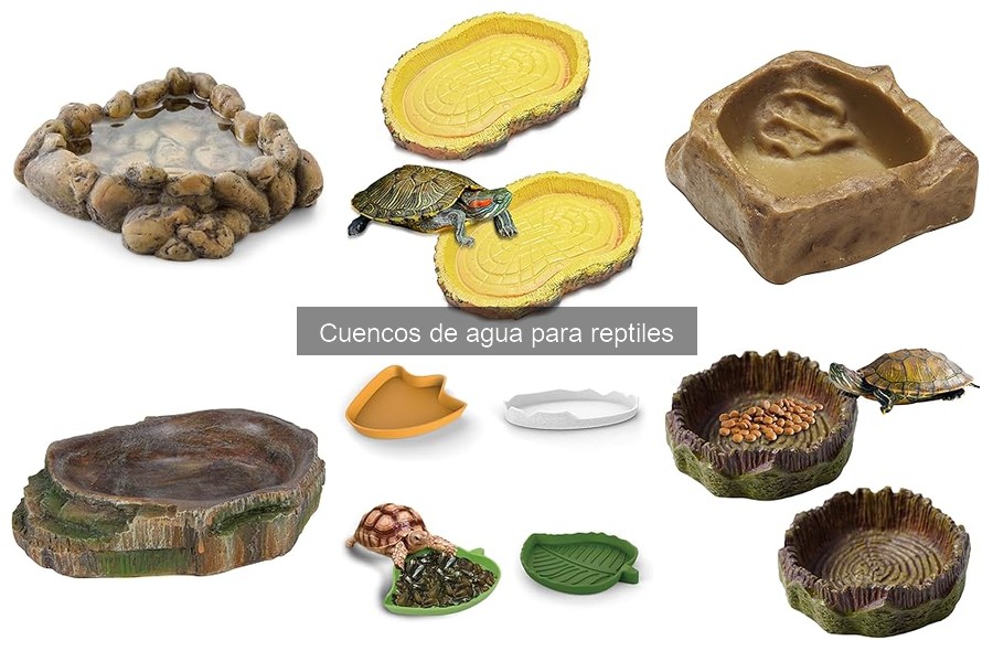 Cuencos de Agua para Reptiles: Guía de Selección Ideal