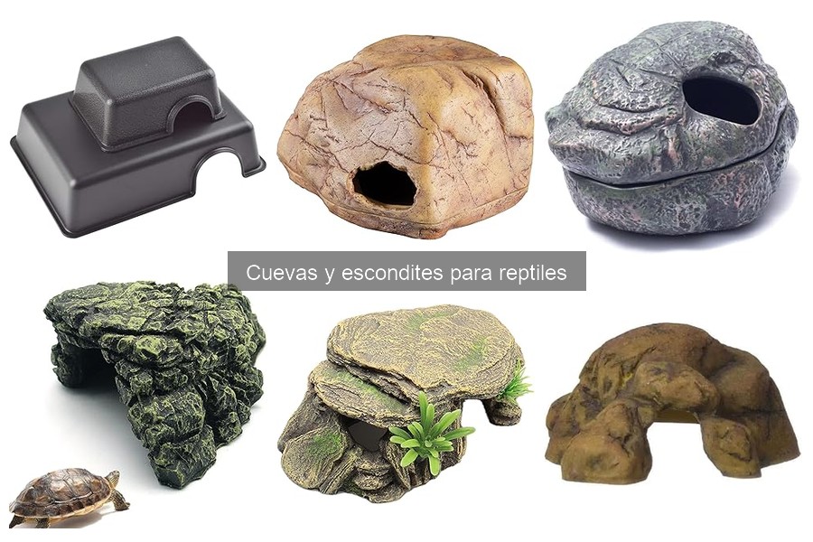Cuevas y Escondites para Reptiles: Guía Básica