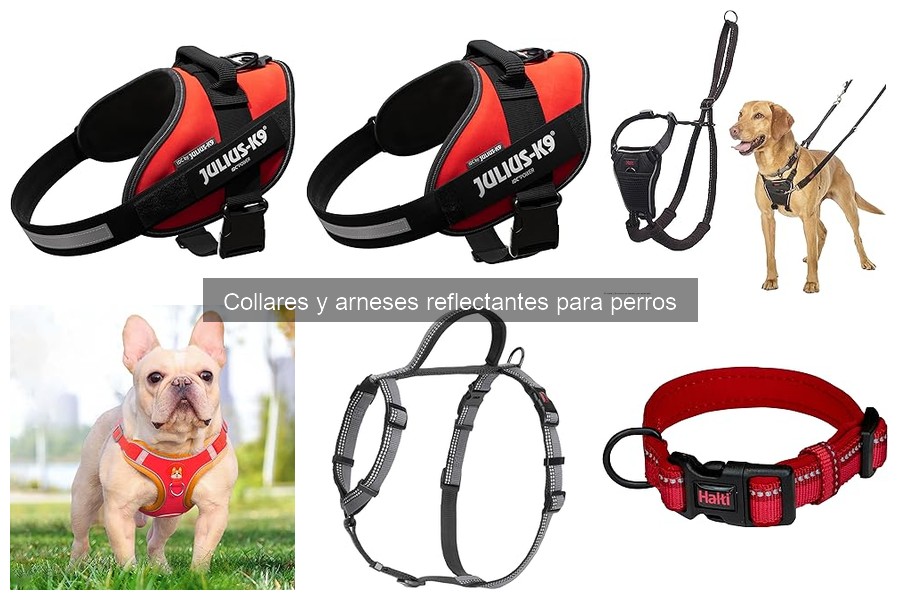 Cuidados del collar reflectante para perros: Guía práctica