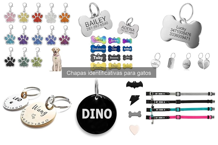 Cuidados esenciales para chapas identificativas de gatos