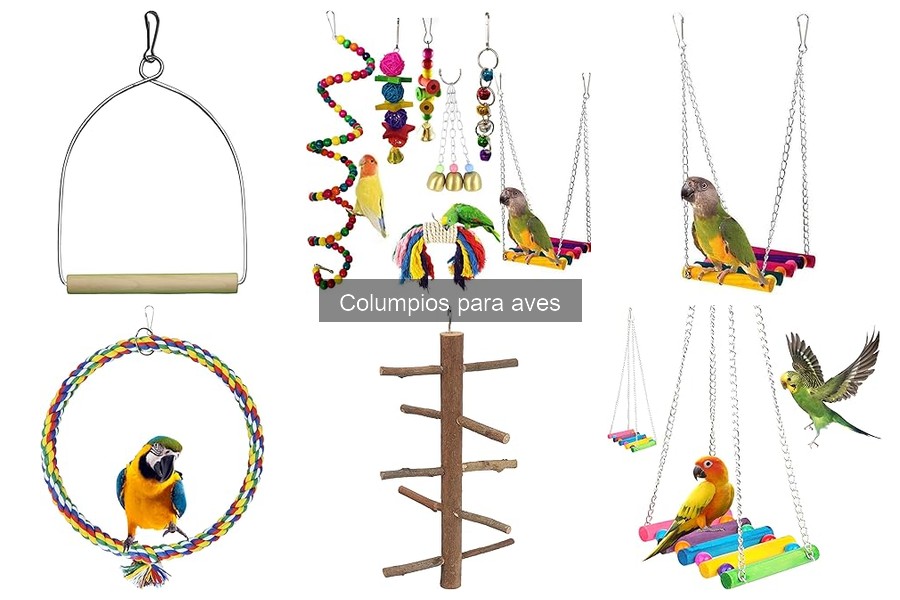 Cuidados Esenciales para el Mantenimiento de Columpios para Aves