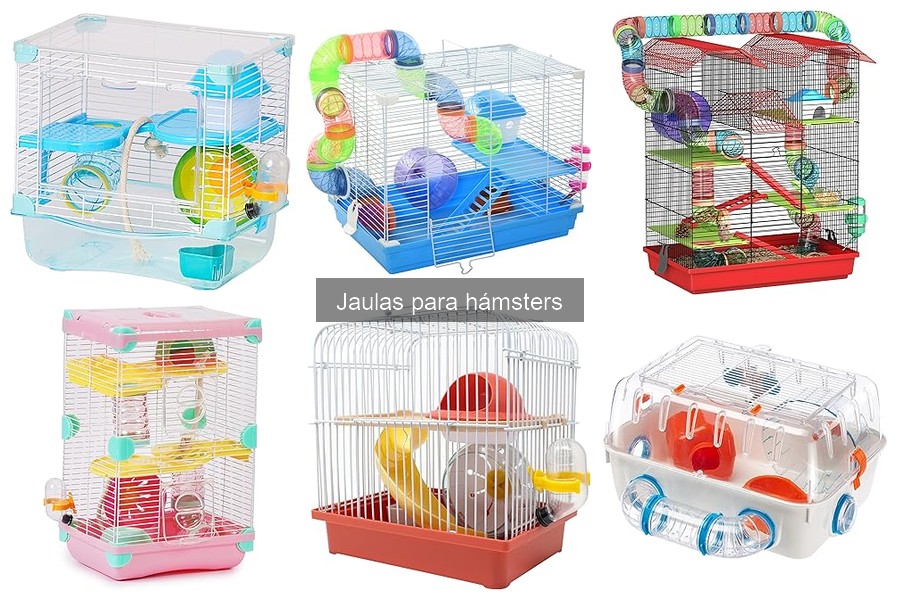 Cuidados Esenciales para la Jaula de Hámster