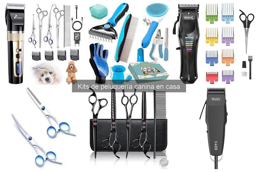 Cuidados Esenciales Tras Usar un Kit de Peluquería Canina