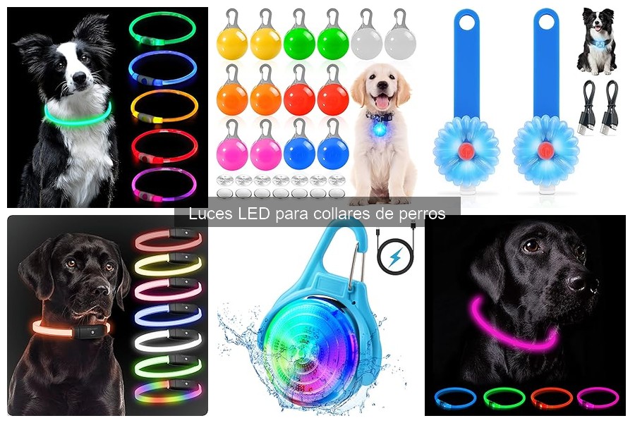 Cuidados para Prolongar Luces LED en Collares de Perros