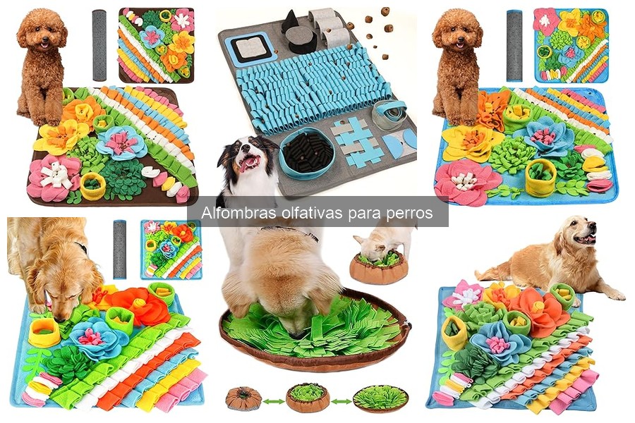 Cuidados y Mantenimiento de Alfombras Olfativas para Perros