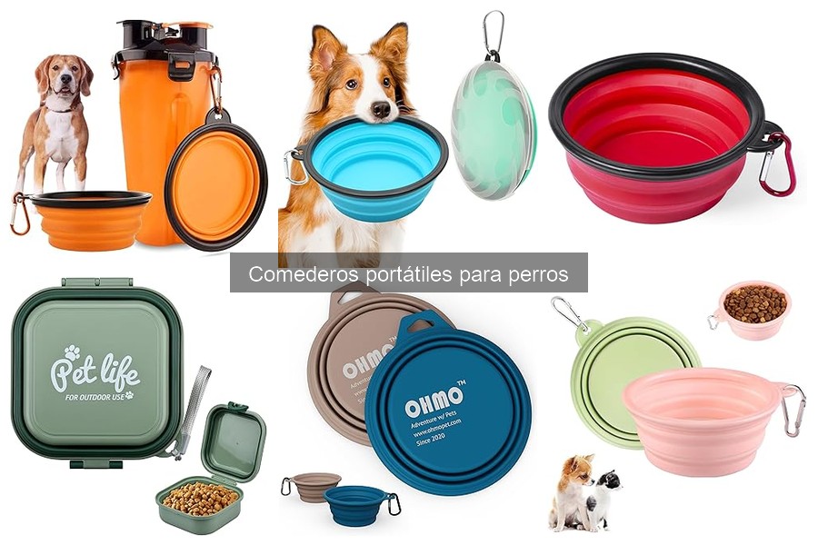 Cuidados y mantenimiento de comederos portátiles para perros