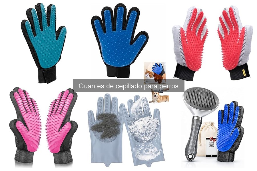 Cuidados y Mantenimiento de Guantes de Cepillado para Perros