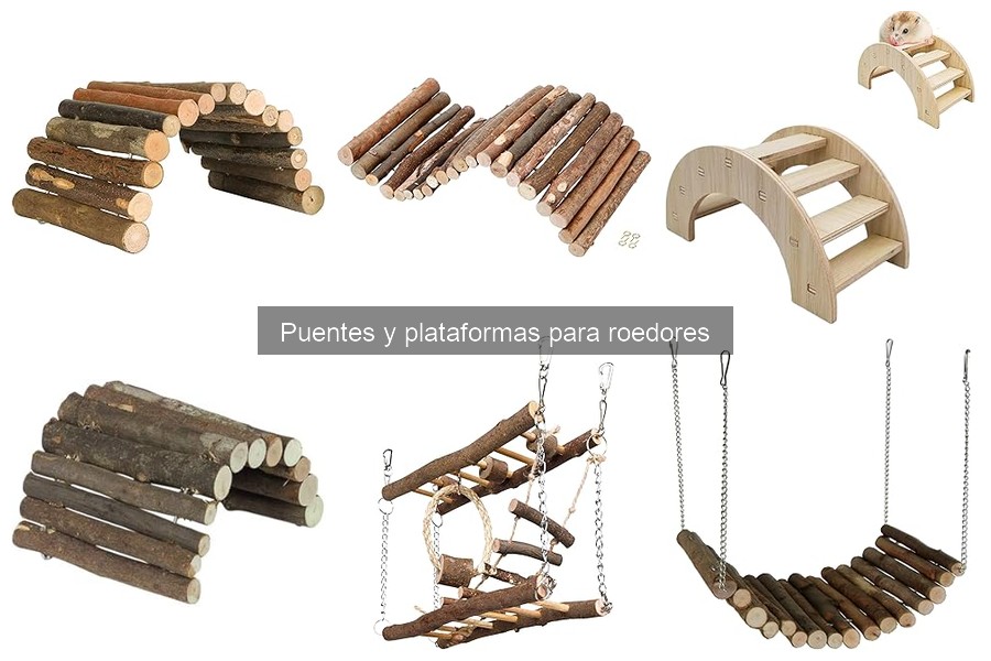 Descubre los Tipos de Puentes y Plataformas para Roedores