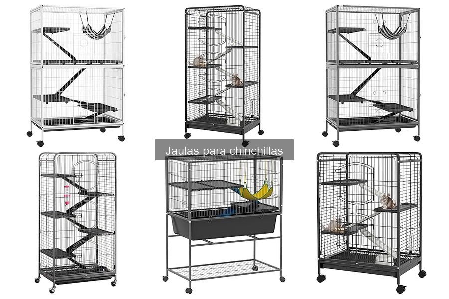 Descubre qué es una jaula para chinchillas