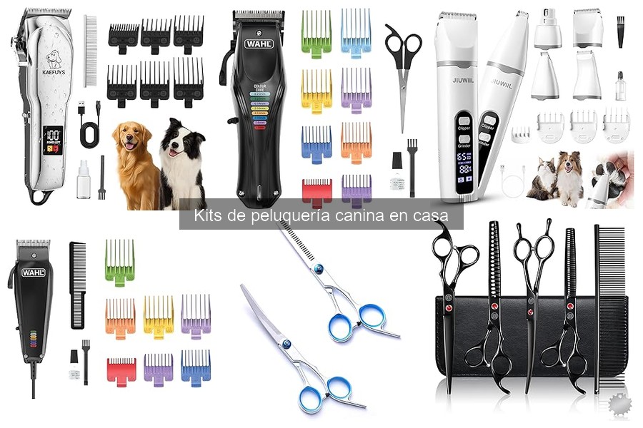 Descubre qué incluye un kit de peluquería canina