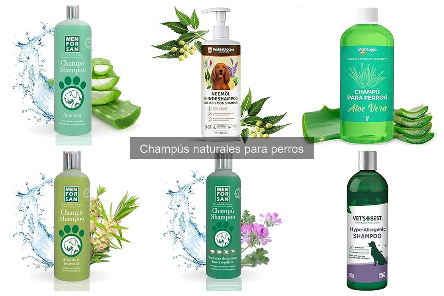 Descubre qué son los champús naturales para perros