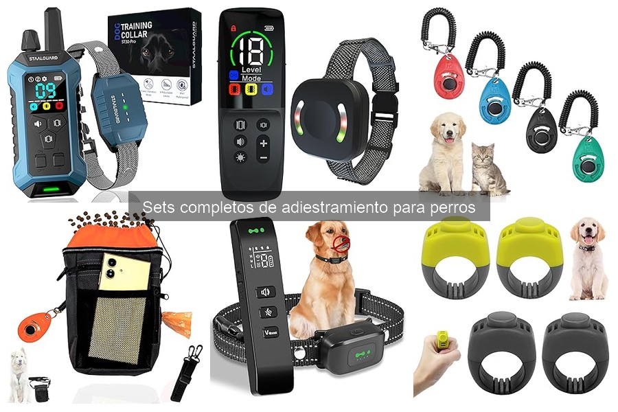 Descubre qué son los sets completos de adiestramiento para perros