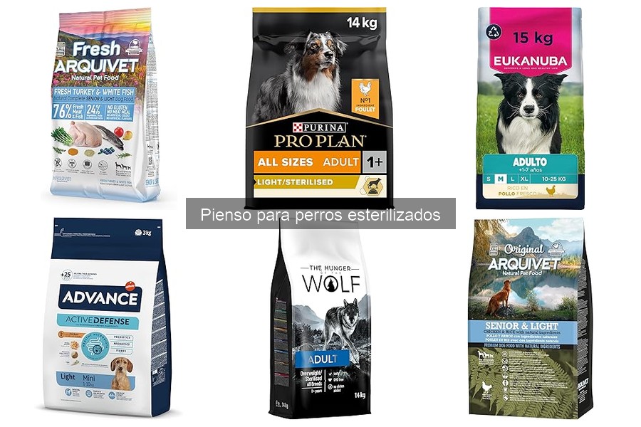 Dieta ideal para perros esterilizados: guía de adaptación