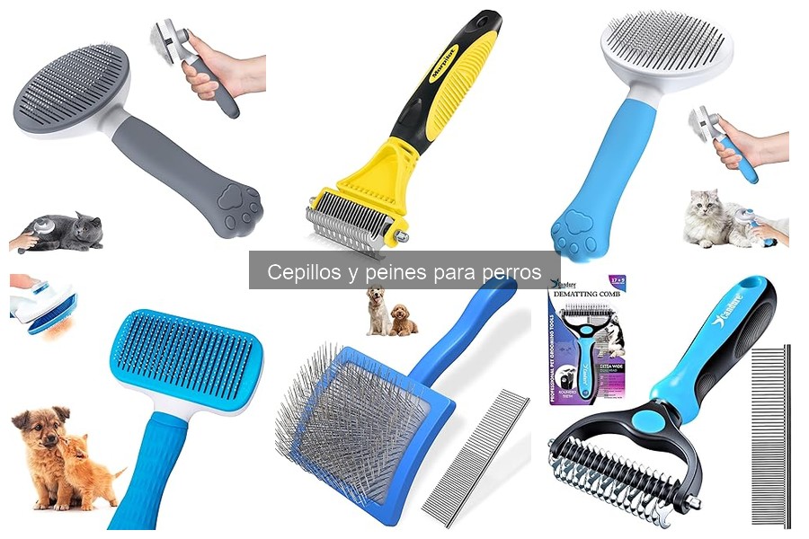 Diferencias entre cepillos de cerdas y de goma para perros