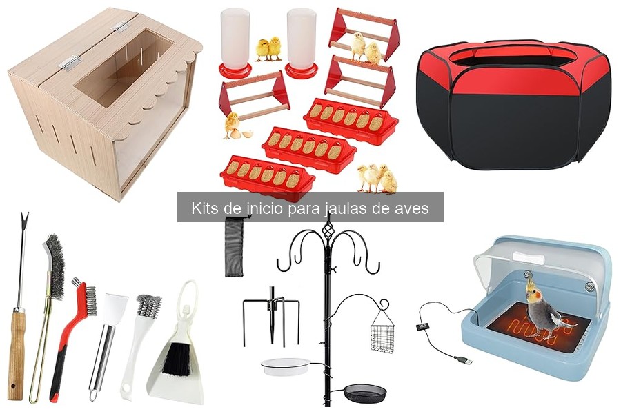 Diferencias entre Kits de Inicio Económicos y Premium para Aves
