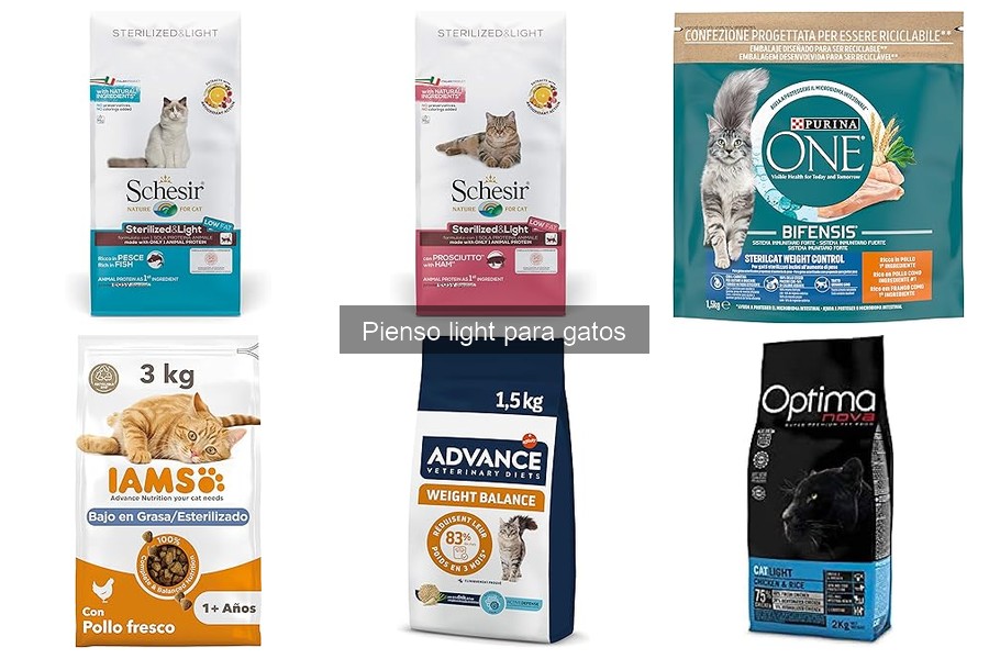 Diferencias entre pienso light y regular para gatos