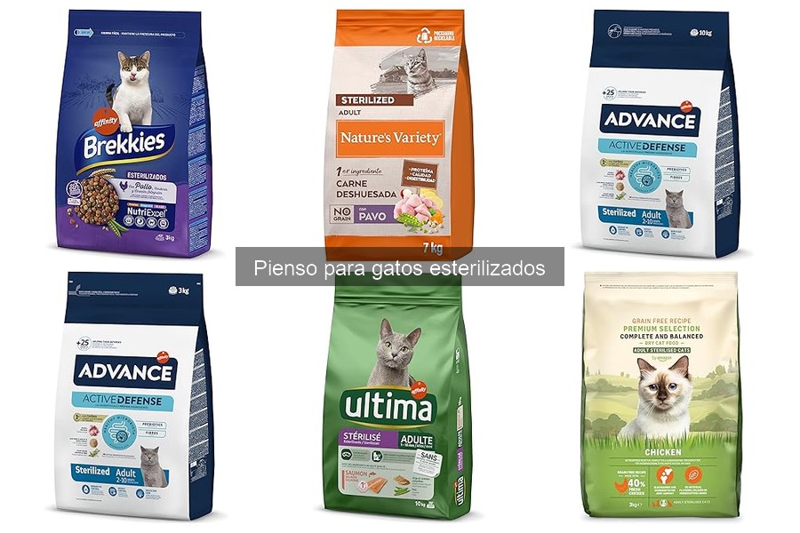 Diferencias entre pienso para gatos esterilizados y no esterilizados