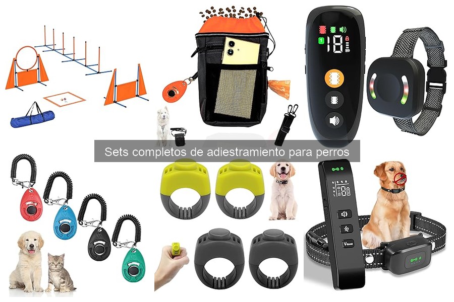 Diferencias entre sets de adiestramiento para perros novatos y avanzados