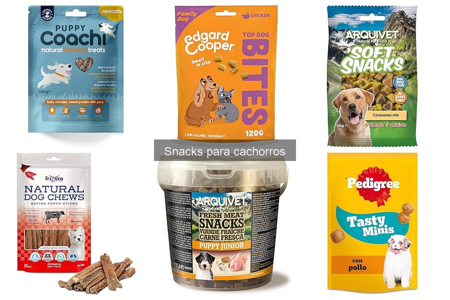 Diferencias Snacks Húmedos vs Secos para Cachorros