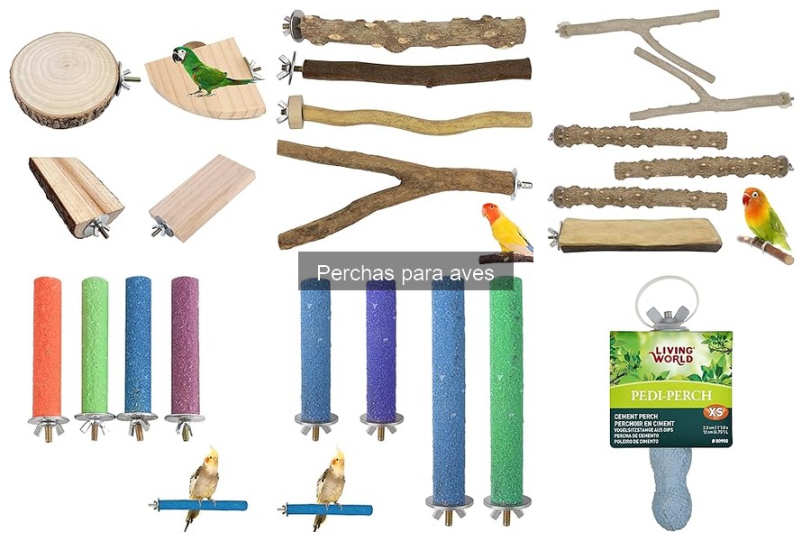 Diferentes tipos de perchas para aves: guía completa