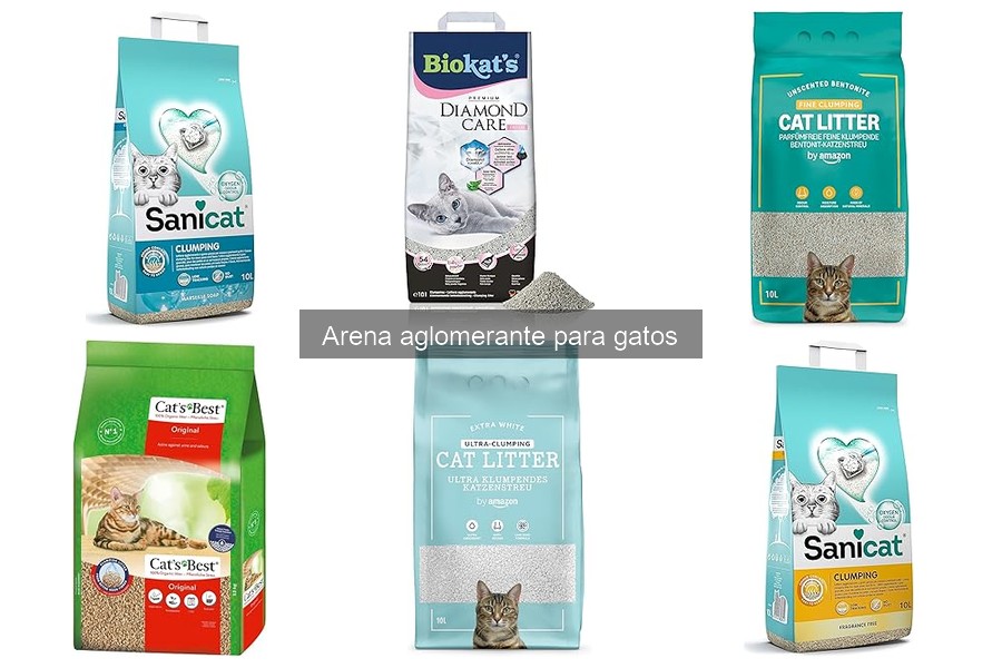 Dónde Comprar Arena Aglomerante para Gatos: Mejores Opciones