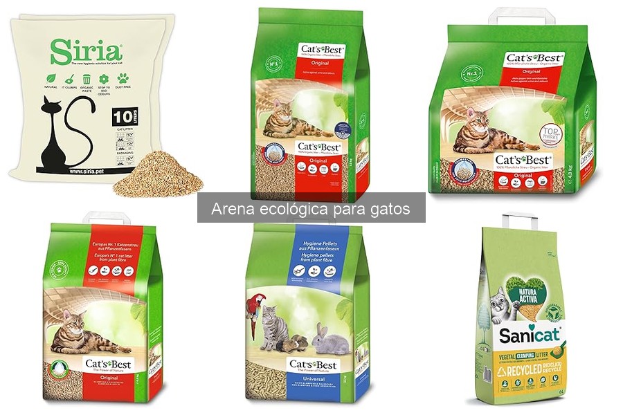 Dónde Comprar Arena Ecológica para Gatos: Mejores Opciones