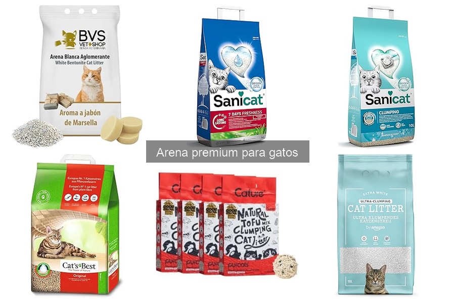Dónde comprar arena premium para gatos: mejores opciones