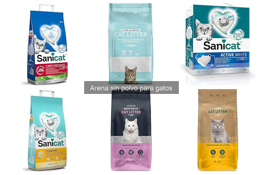 Dónde comprar arena sin polvo para gatos: opciones y ofertas