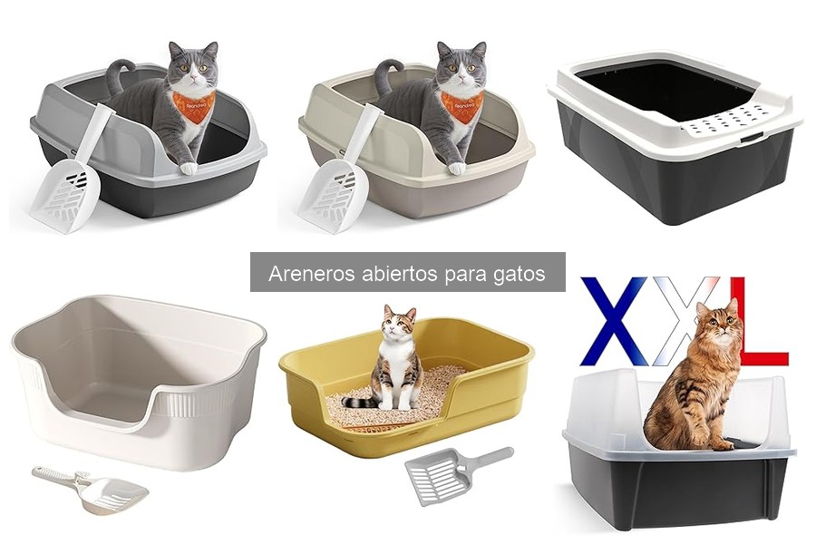 Dónde comprar areneros abiertos para gatos: guía completa