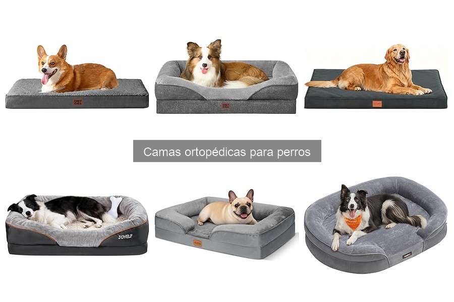 Dónde comprar camas ortopédicas para perros a buen precio