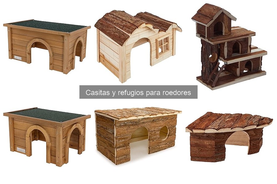 Dónde comprar casitas para roedores: Guía completa