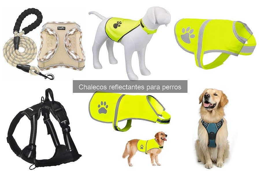 Dónde comprar chalecos reflectantes para perros en 2023